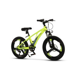 ﻿Bicicleta Copii MTB Carpat 20" C20343A, Verde/Gri
