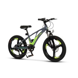 ﻿Bicicleta Copii MTB Carpat 20" C20343A, Gri/Verde