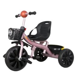 Tricicleta cu sezut reglabil, NBW, roti silentioase EVA si doua cosuri de jucarii, 2-5 ani, Roz