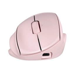HP Tilt Ergo PNK MSE 720M EMEA-INTL EN L mouse-uri