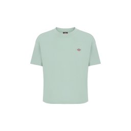 DICKIES Tricou 'OAKPORT' verde deschis