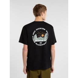 DICKIES Tricou galben șofran / verde deschis / negru / alb