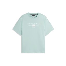 Tommy Hilfiger Big & Tall Tricou verde mentă / alb