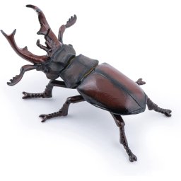 PAPO FIGURINA RADASCA