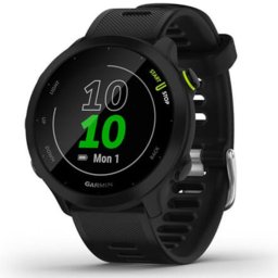 Smartwatch Garmin Forerunner 55 Whitestone
