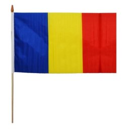 Steag Romania 30 x 45 cm, suport lemn