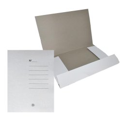 Dosar carton alb plic