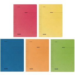 Dosar carton color cu sina, 250 g/mp, Falken