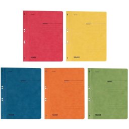 Dosar carton color cu capse, coperta 1/1, 250 g/mp, Falken