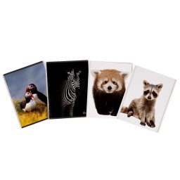 Caiet A5 Premium 48 file, hartie 80g/mp, coperta 300g/mp, Elisa Animals, FSC