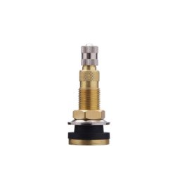 Valva mecanica TR618A pentru anvelope tubeless de camion, corp metalic