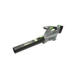 Suflanta de frunze cu acumulator 40V 2Ah, 650W, 175 km/h, 21000 RPM (DISMZ71)
