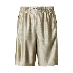 Jordan Pantaloni 'BRK CAT SCRATCH' kaki / negru / alb