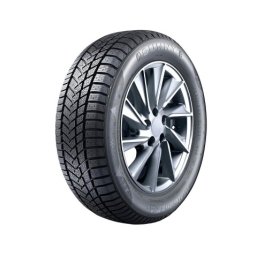 SUNNY NW211 205/60R16 96H