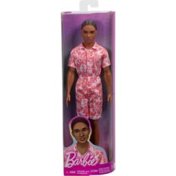 Barbie Ken Fashionistas Brown Hair HYT99