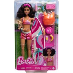 Barbie papusa surfer cu accesorii HPL69