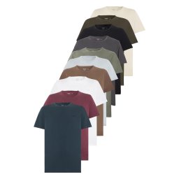 HOLLISTER Tricou bej deschis / albastru pastel / albastru închis / maro / gri închis / kaki / oliv / roșu burgundy / negru / alb
