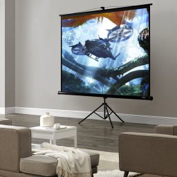 Ecran de proiectie cu stativ 113 inch, reglabil, pentru home cinema