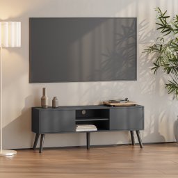 Comoda TV Eskilstuna cu 2 usi si 2 rafturi, gri închis, 120 cm