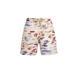 VILEBREQUIN K Costum de baie JIMEB128 004 papier