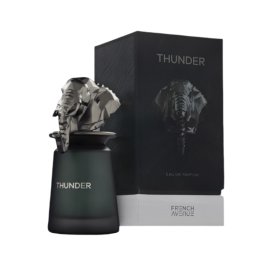 French Avenue Thunder EDP M 100 ml