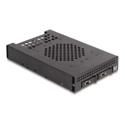 DeLOCK 3.5 Mobile Rack for 2 x M.2 NVMe SSD