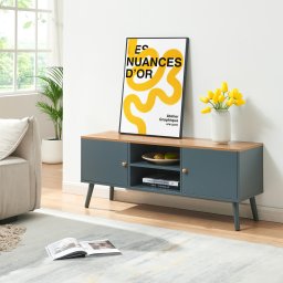Comoda TV Reyljand cu 2 usi, 120x35x50 cm, gri si stejar
