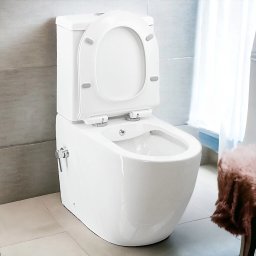 Set vas WC cu functie bideu DuoComfort, Back-To-Wall, Rimless, Candore TempoLine Oval White, capac Duroplast cadere lenta, baterie amestec,
