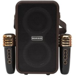 Boxa Portabila, Lumini LED, 2 Microfoane Incluse, Z-tools