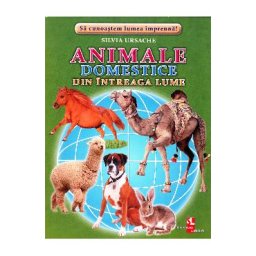 Animale domestice din intreaga lume - Cartonase - Silvia Ursache