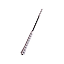 Tija antena auto Carpoint AM/FM din aluminiu, 17,6 cm, universala