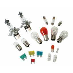 Kit becuri auto si sigurante 19 piese 12V cu 2 becuri halogen H4