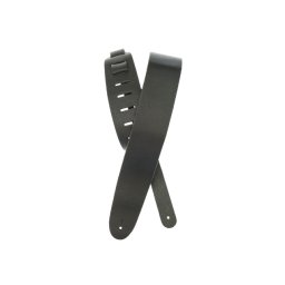 Daddario 25BL00 Guitar/Bass