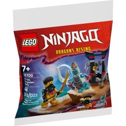LEGO NINJAGO Batalia dintre Arin si Dragonian 30700, 48 piese