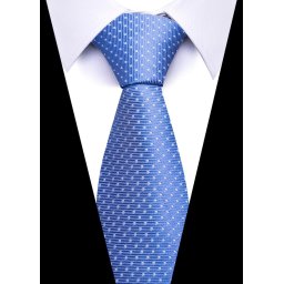 Cravata pentru barbati, CR115, Albastru