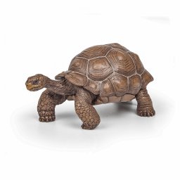 Figurina Papo Testoasa Galapagos realista, pictata manual, 11 cm
