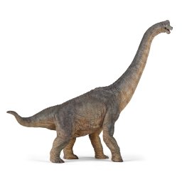 Figurina dinozaur Brachiosaurus Papo, realista, pictata manual