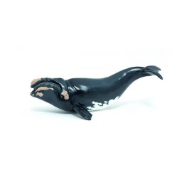 Figurina balena Papo realista, pictata manual, pentru copii 3+ ani