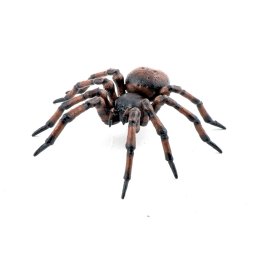 Figurina Papo Paianjen realista, pictata manual, pentru copii 3+ ani