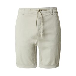 DAN FOX APPAREL Pantaloni eleganți 'Janne' verde pastel