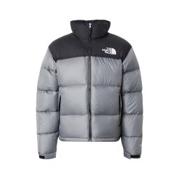 THE NORTH FACE Geacă de iarnă '1996 RTO NUPTSE' negru / argintiu