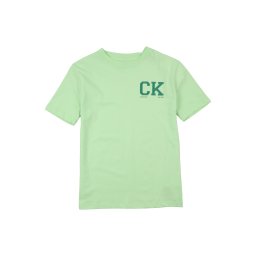 Calvin Klein Jeans Tricou verde / verde deschis