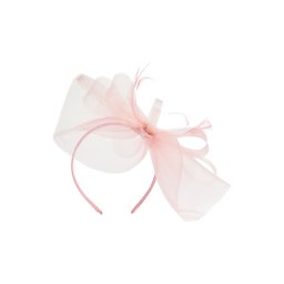 Lipsy Accesorii pentru păr roz pal