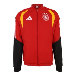 ADIDAS PERFORMANCE Geacă sport 'DFB PRE' galben miere / roșu / negru / alb