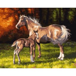Set pictura pe numere, cu sasiu, Liberi si frumosi, 40x50 cm