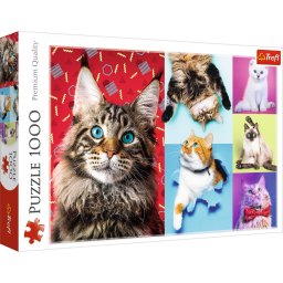 Puzzle Trefl 1000 piese Pisicute Fericite, multicolor, 12+ ani