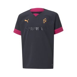 PUMA Tricou funcțional galben închis / roșu vin / negru