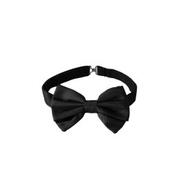 Next Papion negru