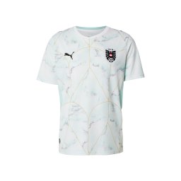 PUMA Tricot 'Österreich 2026' auriu / verde mentă / negru / alb