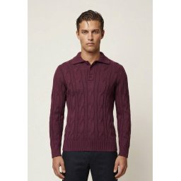 Felix Hardy Pulover roșu bordeaux